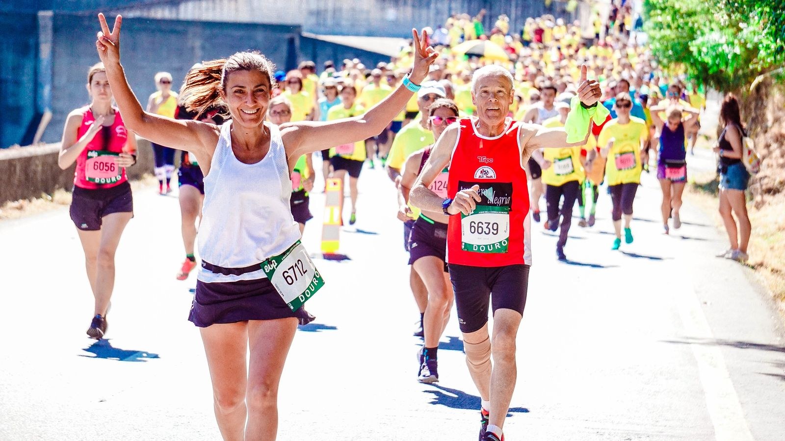 Sydney Marathon and the University Degrees Behind a World-Class Sporting Event